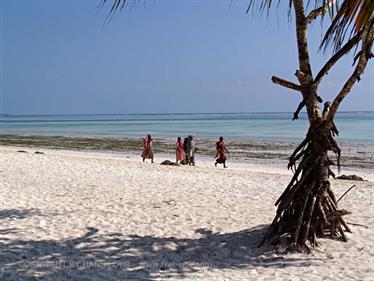 Beach walk, Zanzibar, DSC07403b